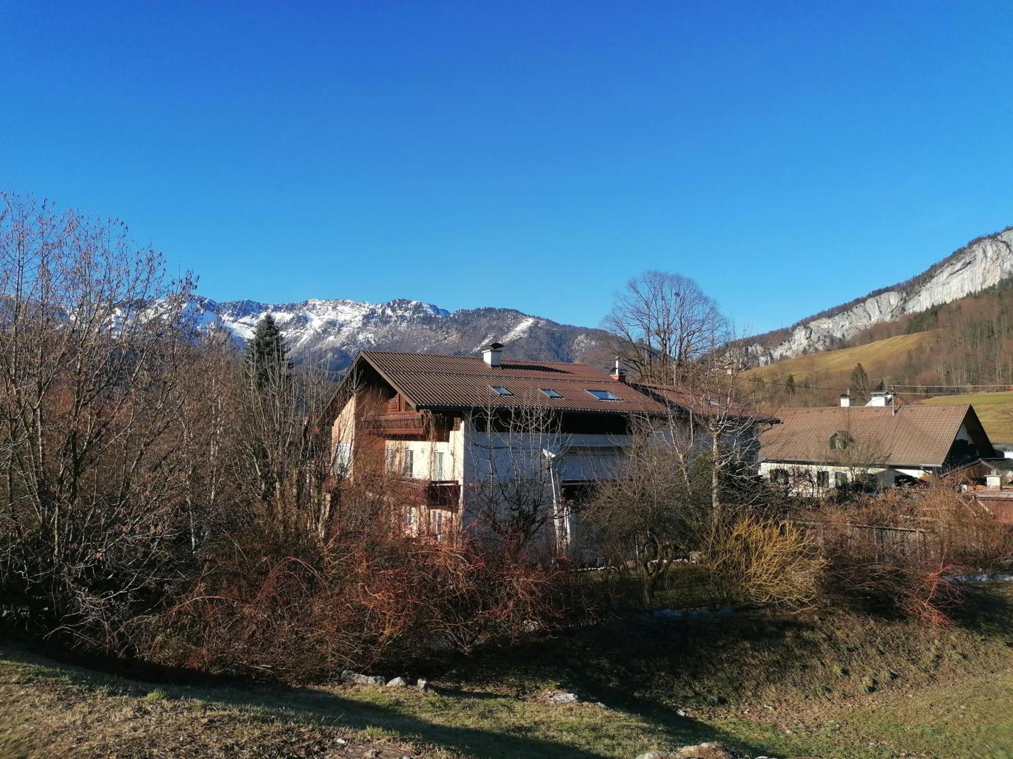 Alpenblumal Bad Goisern