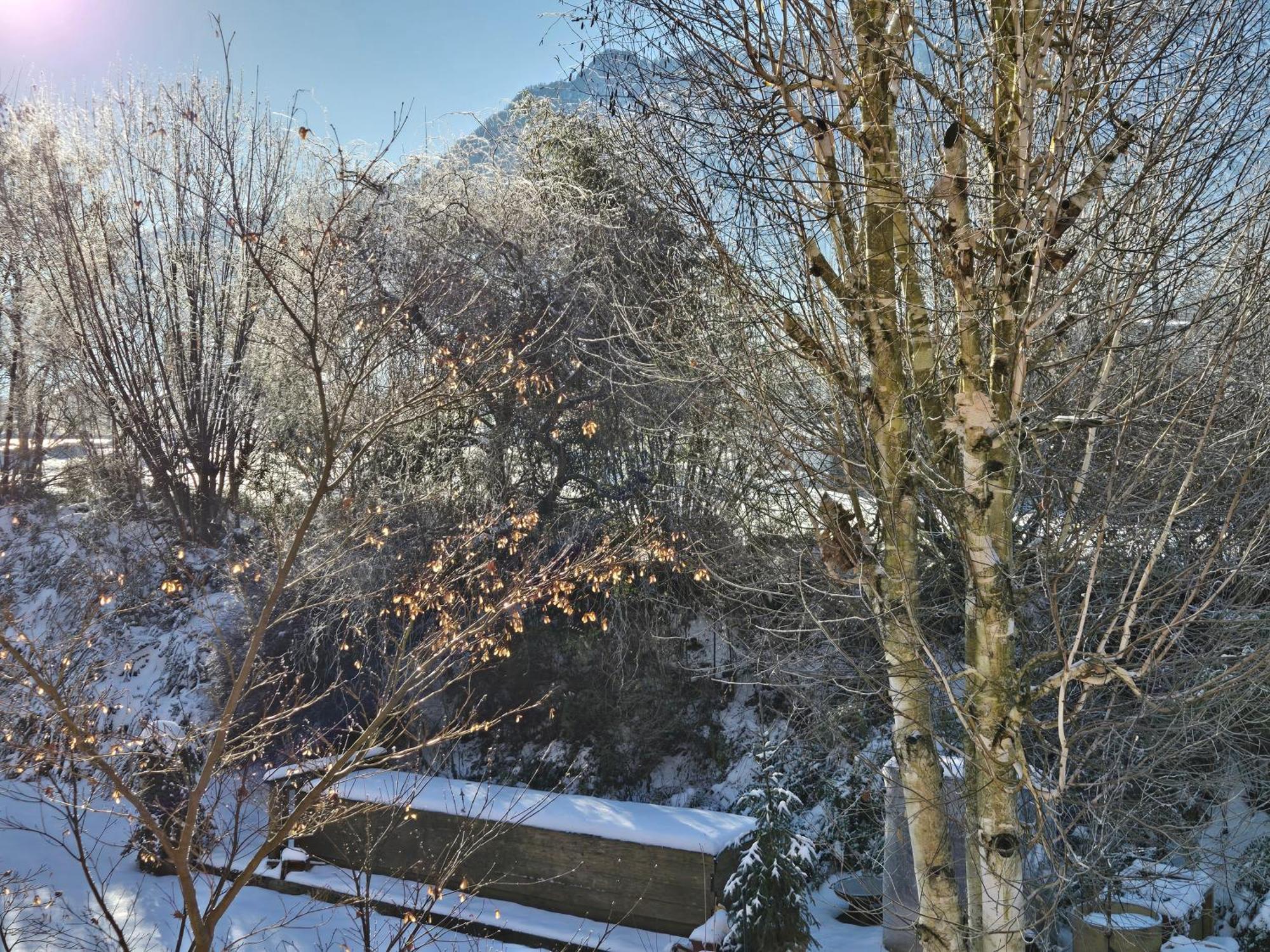 Apartment Alpenblumal